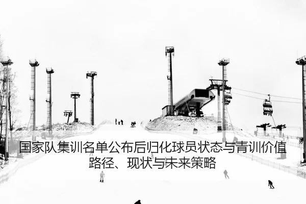 国家队集训名单公布后归化球员状态与青训价值路径、现状与未来策略