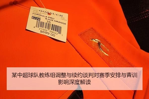 某中超球队教练组调整与续约谈判对赛季安排与青训影响深度解读
