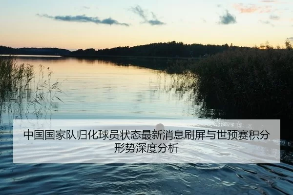 中国国家队归化球员状态最新消息刷屏与世预赛积分形势深度分析