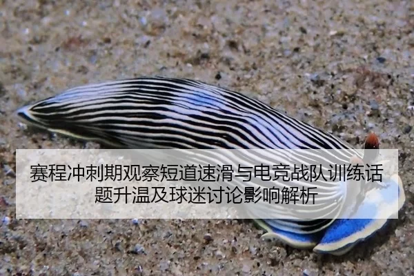 赛程冲刺期观察短道速滑与电竞战队训练话题升温及球迷讨论影响解析